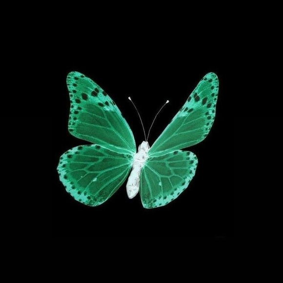 Meet your Posher, Obama - Picture 1 of 1